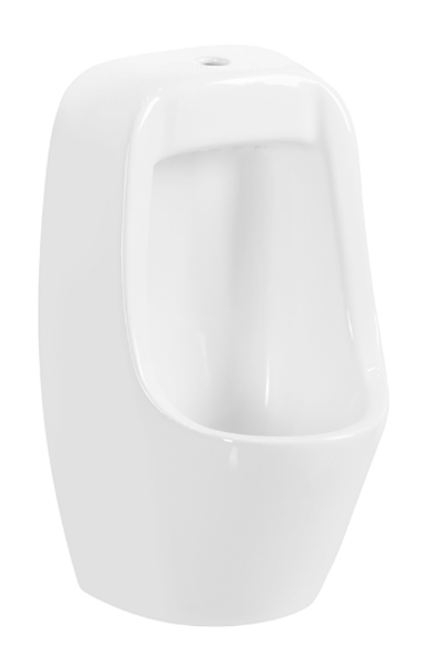Wall-mounted Manual Flushing Ceramic Urinal 1270-219 - Product