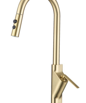 Pul Out Sink Mixer 1654-8003G